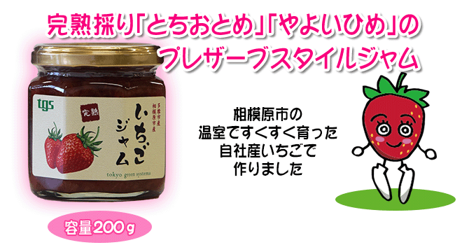 完熟採り「とちおとめ」「やよいひめ」のプレザーブスタイルのいちごジャム。容量200g