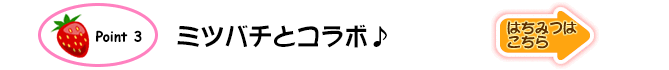 Point3.ミツバチとコラボ♪（はちみつへリンク）